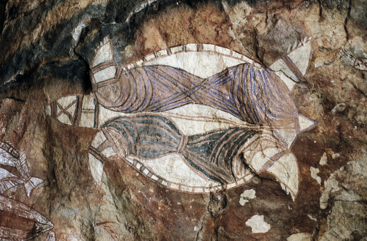 Kaplumbağa, kaya resmi, Arnhem Land, Northern Territory, Avustralya, Aborjin kültürü by Benjamin Baud