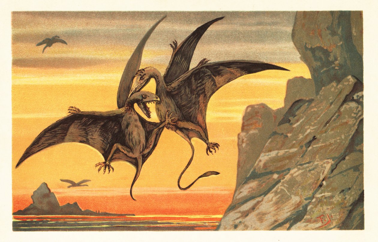 Kızıl bir gökyüzüne karşı orta uçuşta savaşan iki pterodaktil.1908 (litografi) by Unbekannter Künstler