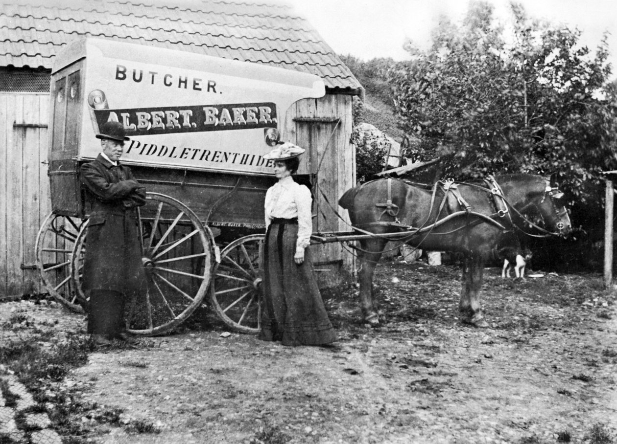 Birleşik Krallık : Bir Kasap Arabası. Piddletrenthid, c1900 by Unbekannt