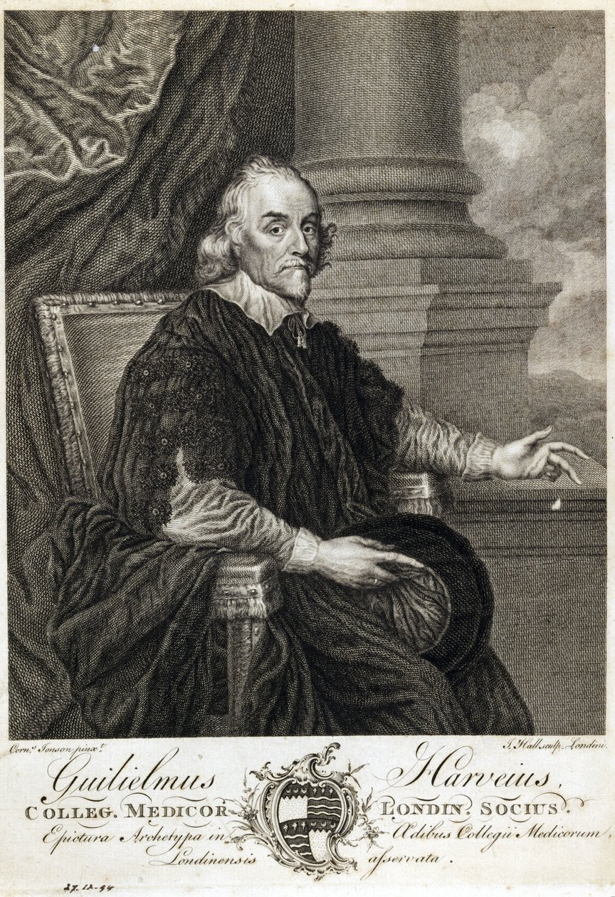William Harvey, İngiliz doktor by Unbekannt