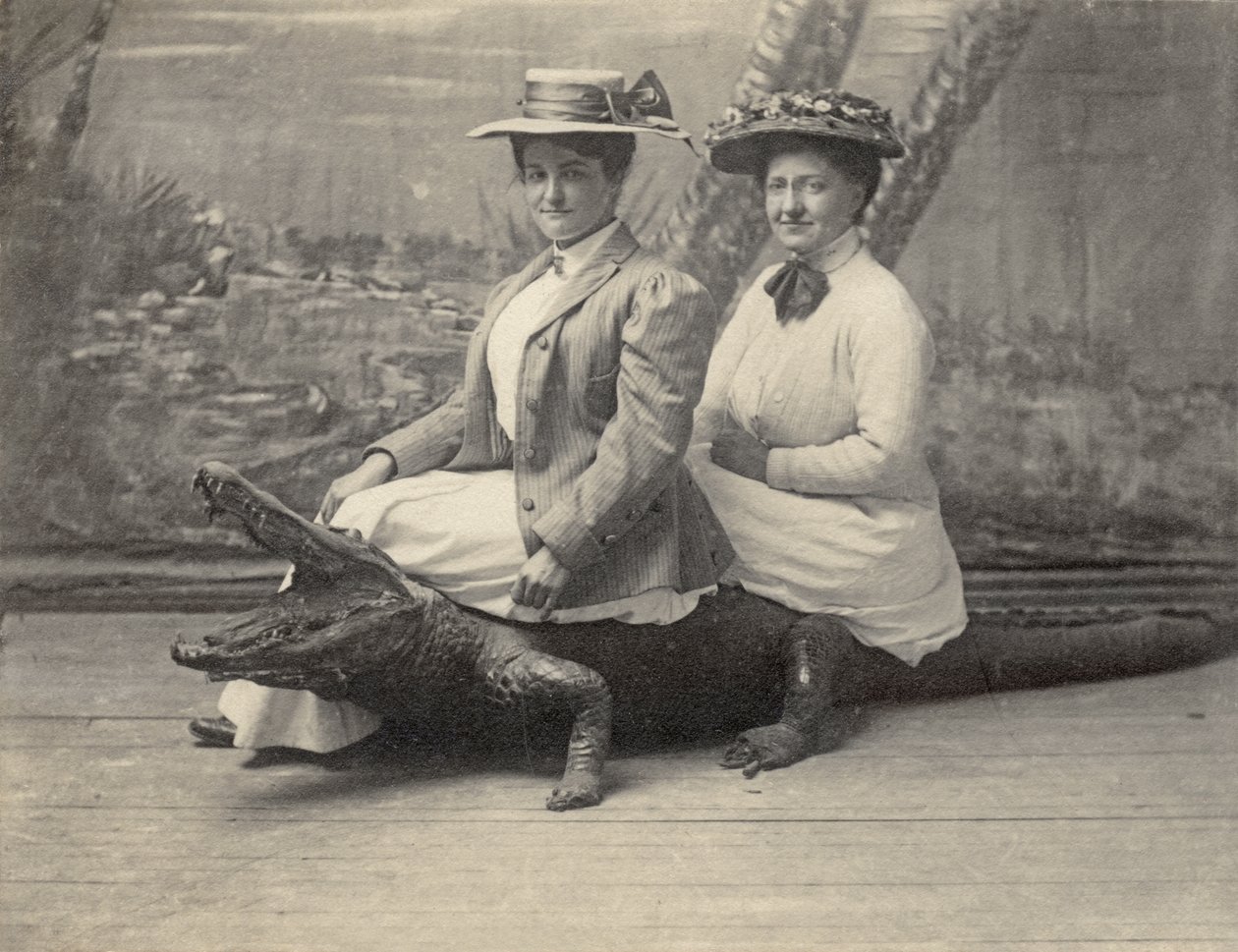 Doldurulmuş bir timsahın üzerinde oturan kadınlar, 1905 dolayları (s/b fotoğraf) by Unbekannter Künstler