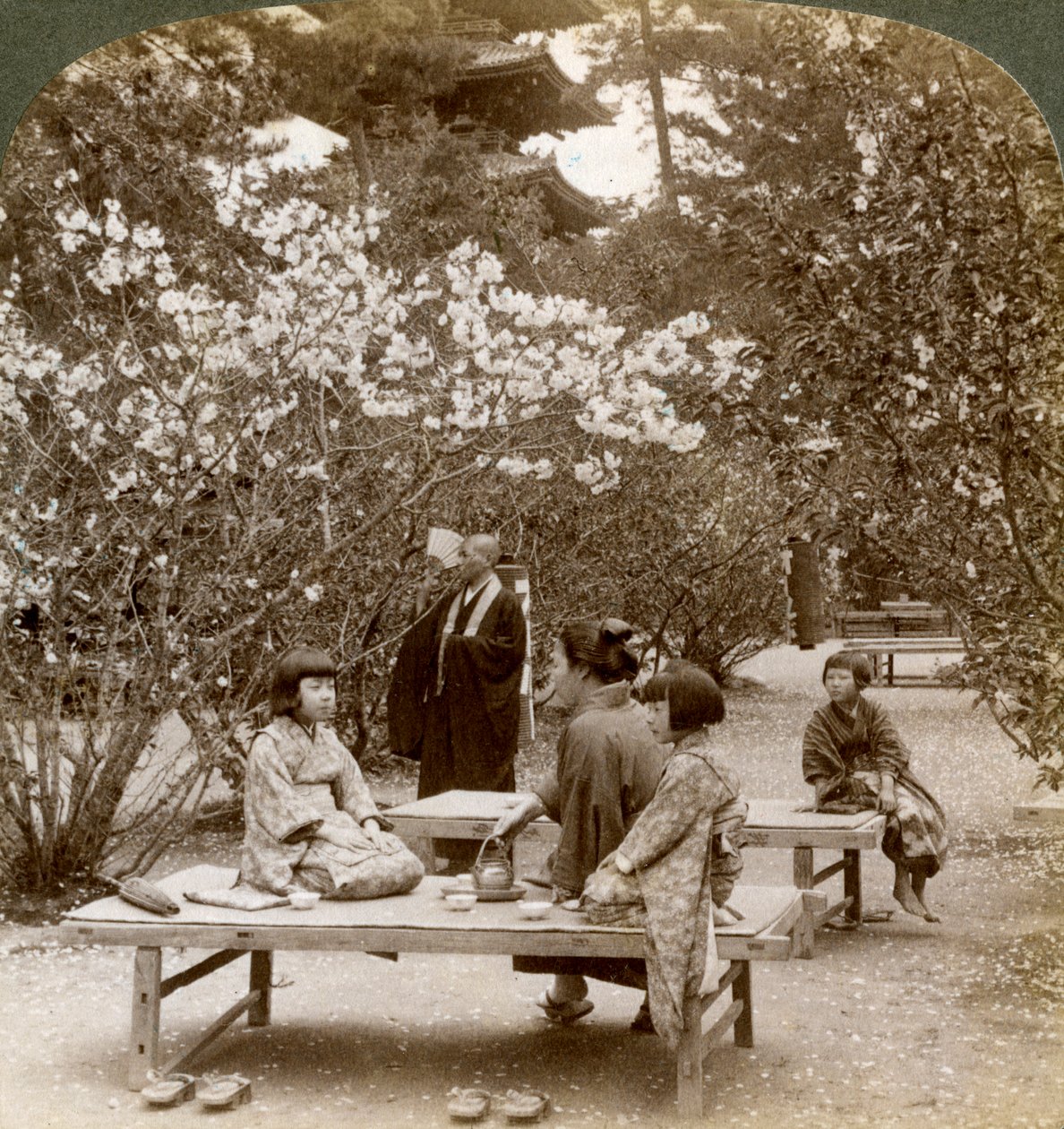 Kiraz çiçeklerinin altında piknik yapan bir aile, Omuro Gosho, Kyoto, Japonya, 1904. by Underwood and Underwood
