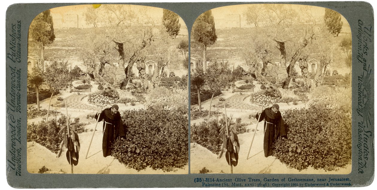 Gethsemane Bahçesi