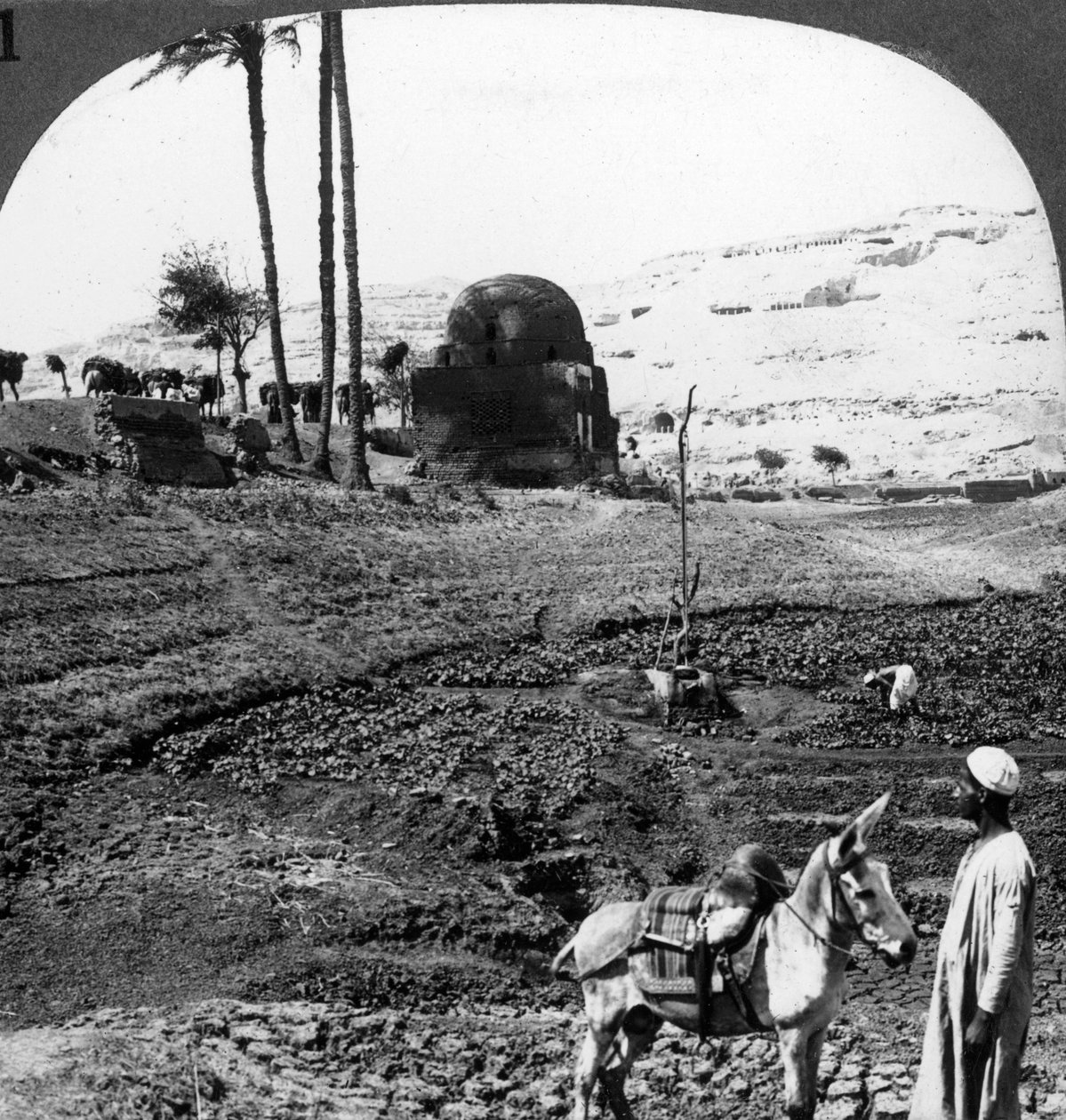 Assiut lordlarının uçurum mezarları, Mısır, 1905. by Underwood and Underwood