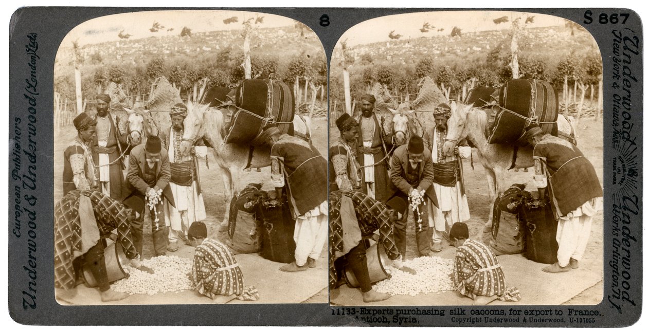 Fransa'ya ihracat için ipek kozası satın alan uzmanlar, Antakya, Suriye, 1900'ler. by Underwood and Underwood
