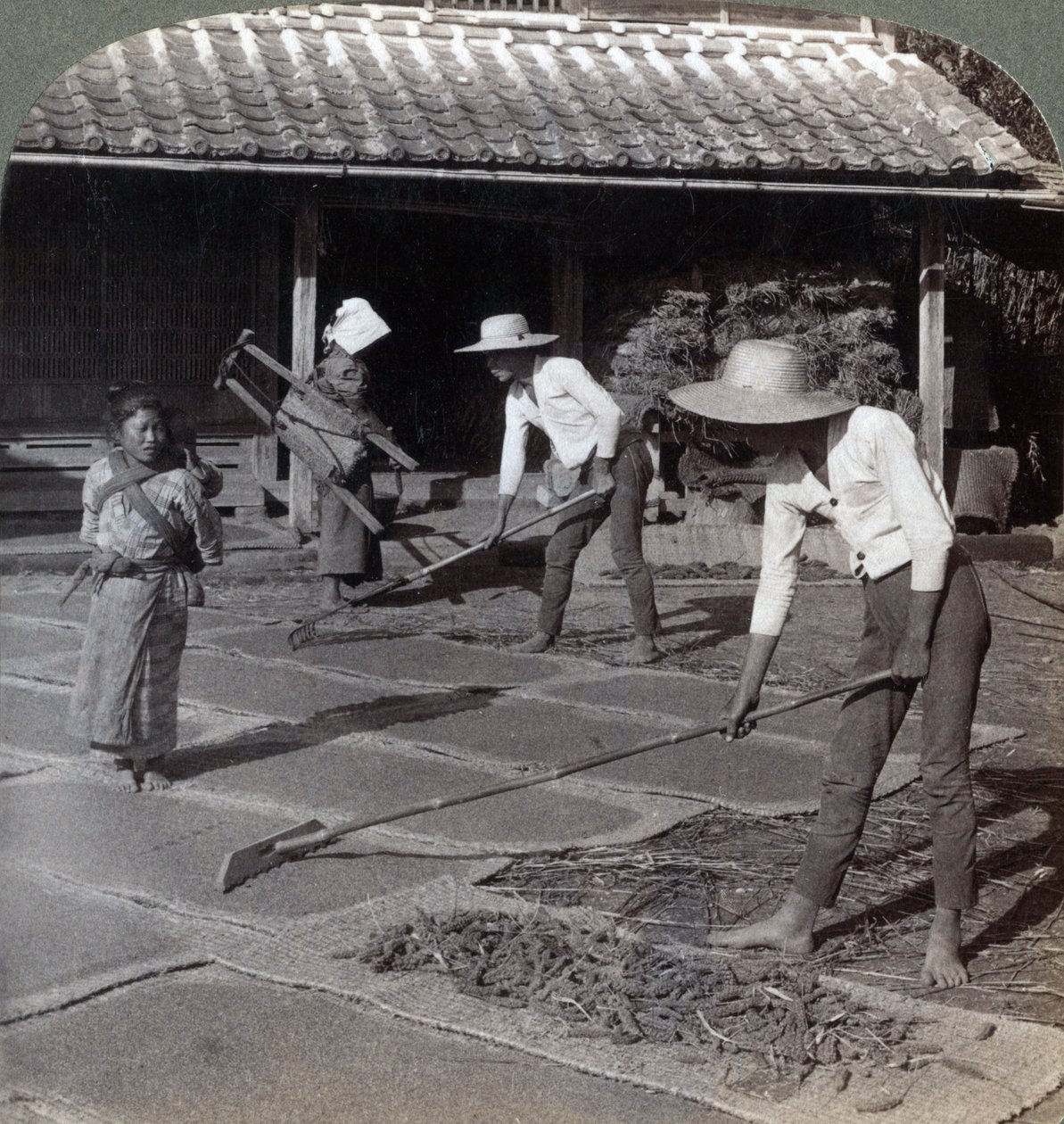 Bambu tırmıkları olan çiftçiler, kış için kuruması için hasırların üzerine darı serpiyor, Yokohama, Japonya, 1904 by Underwood and Underwood