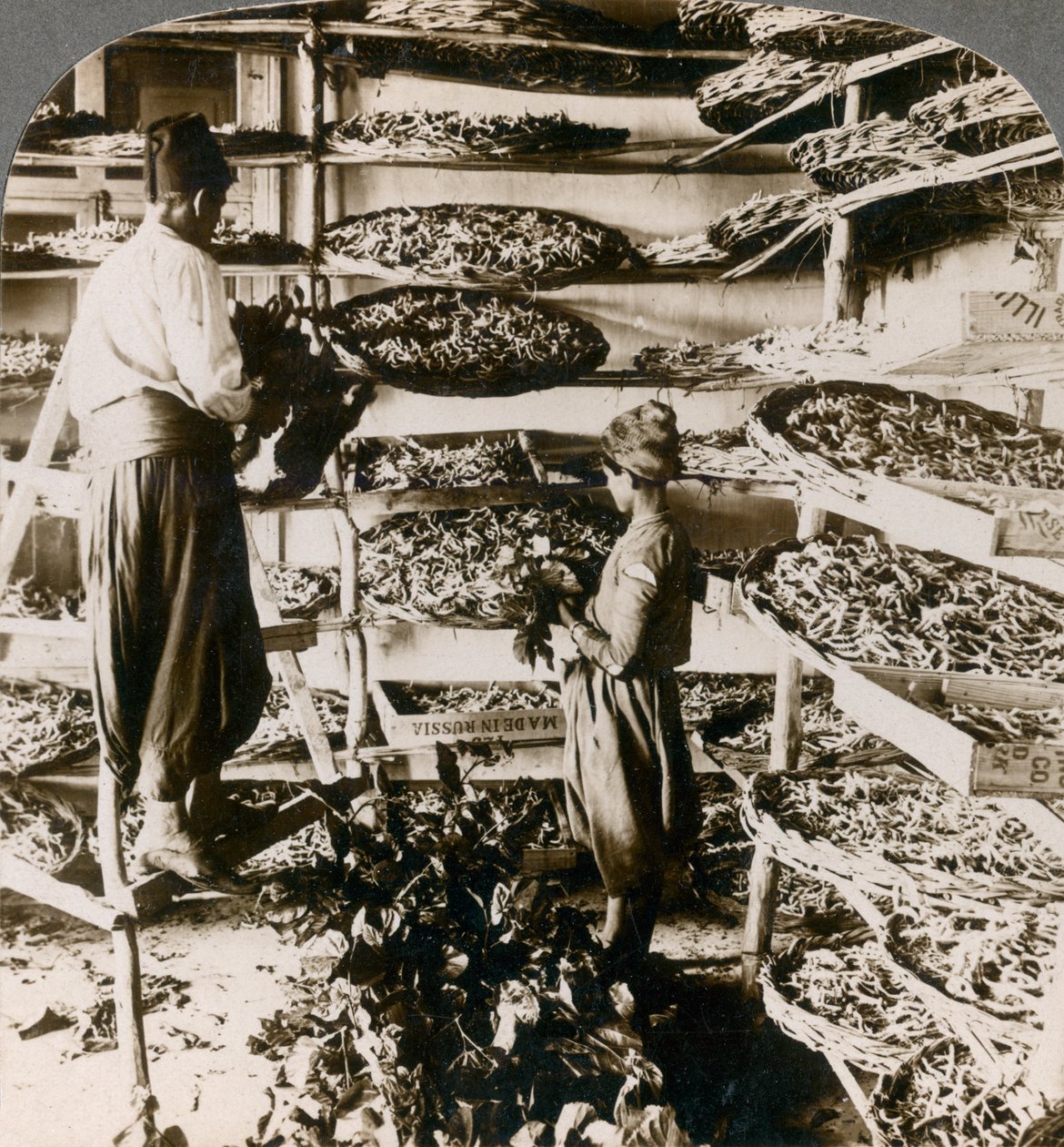 İpekböceklerini dut yapraklarıyla besleyen kahvaltıları, Lübnan dağları, Suriye, 1900
