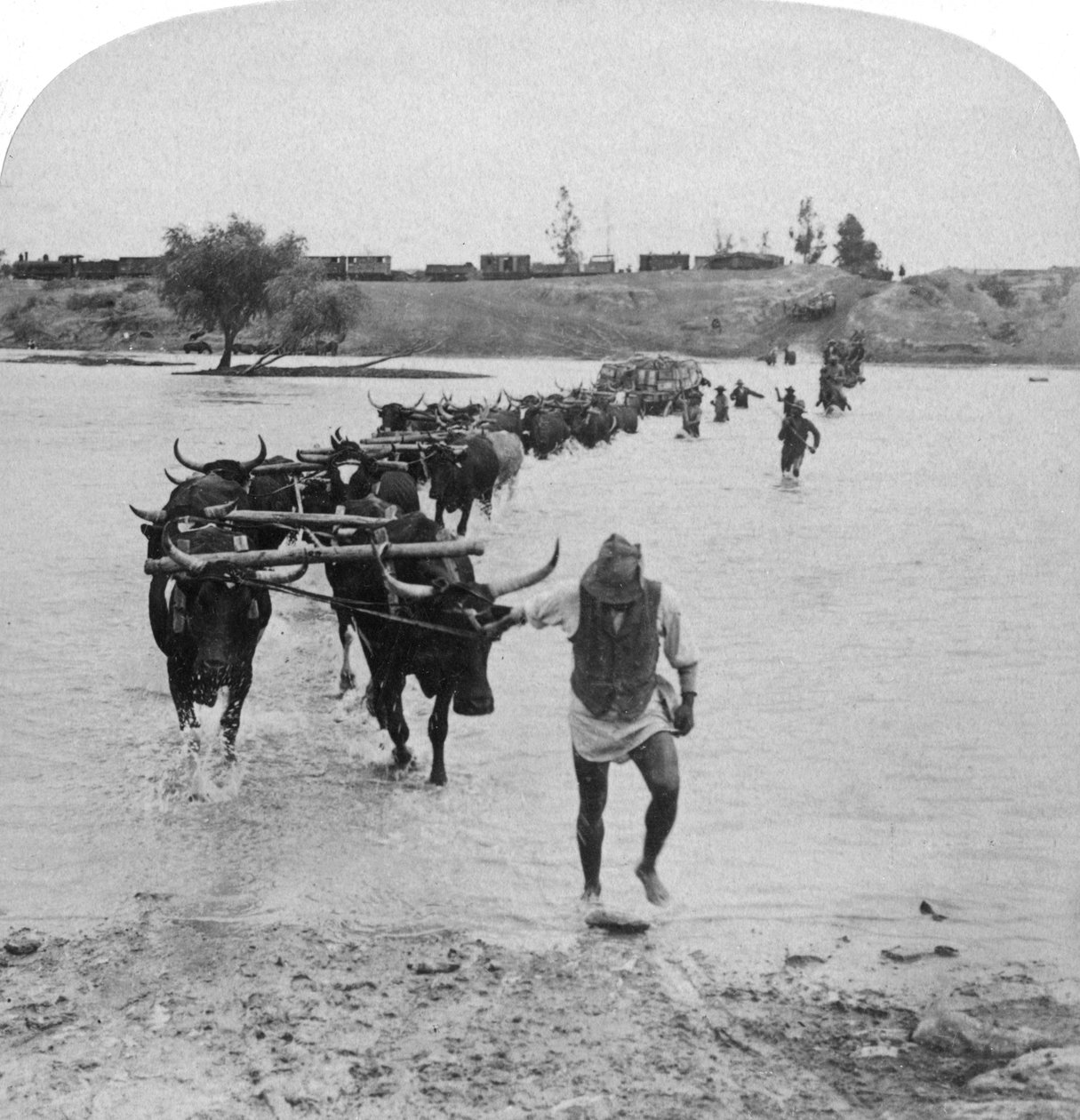 Modder Nehri
