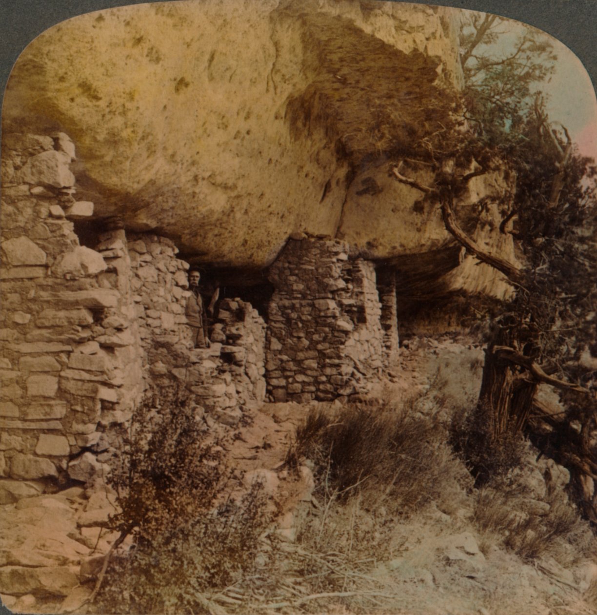 Kaybolan Bir Irkın Evleri - Walnut Canyon