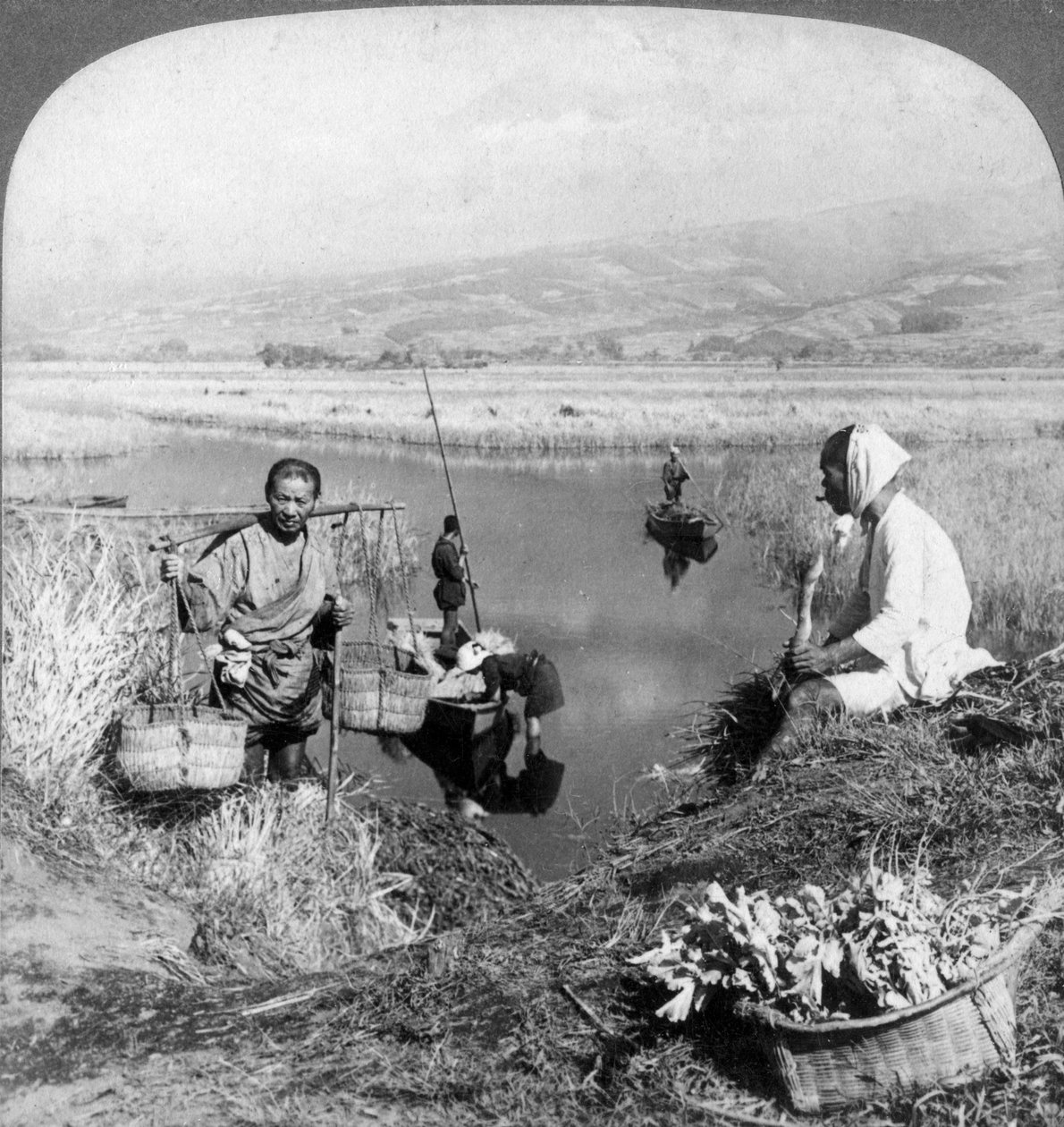 Men gathering rushes near Suzukawa, Fujiyama, Japan, 1904. by Underwood and Underwood