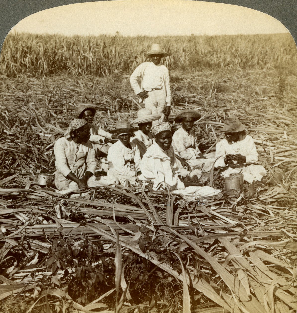 La Union şeker plantasyonunda, San Luis, Santiago Eyaleti, Küba, 1899. by Underwood and Underwood