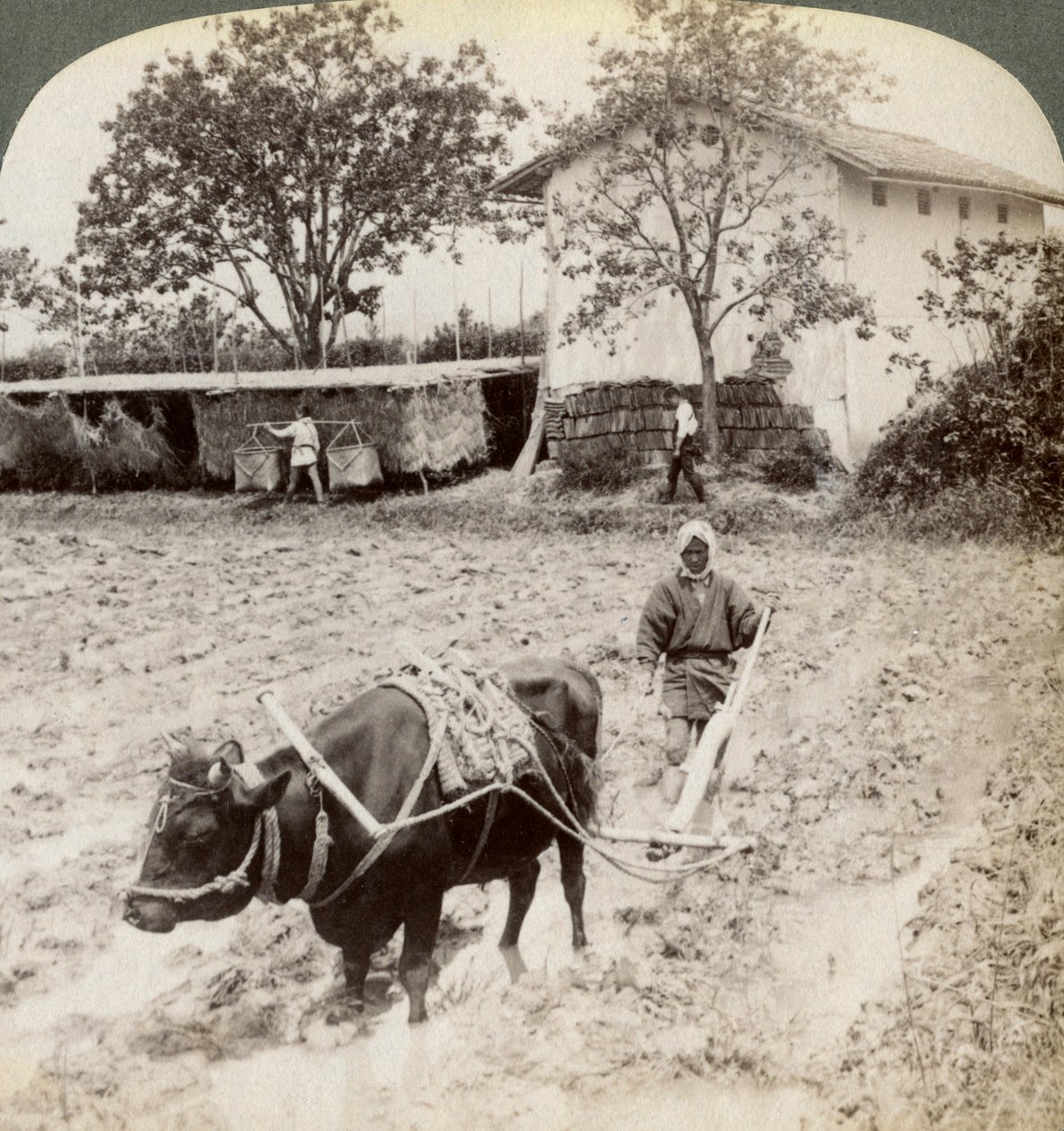 Kyoto, Japonya, 1904 yakınlarındaki Uji