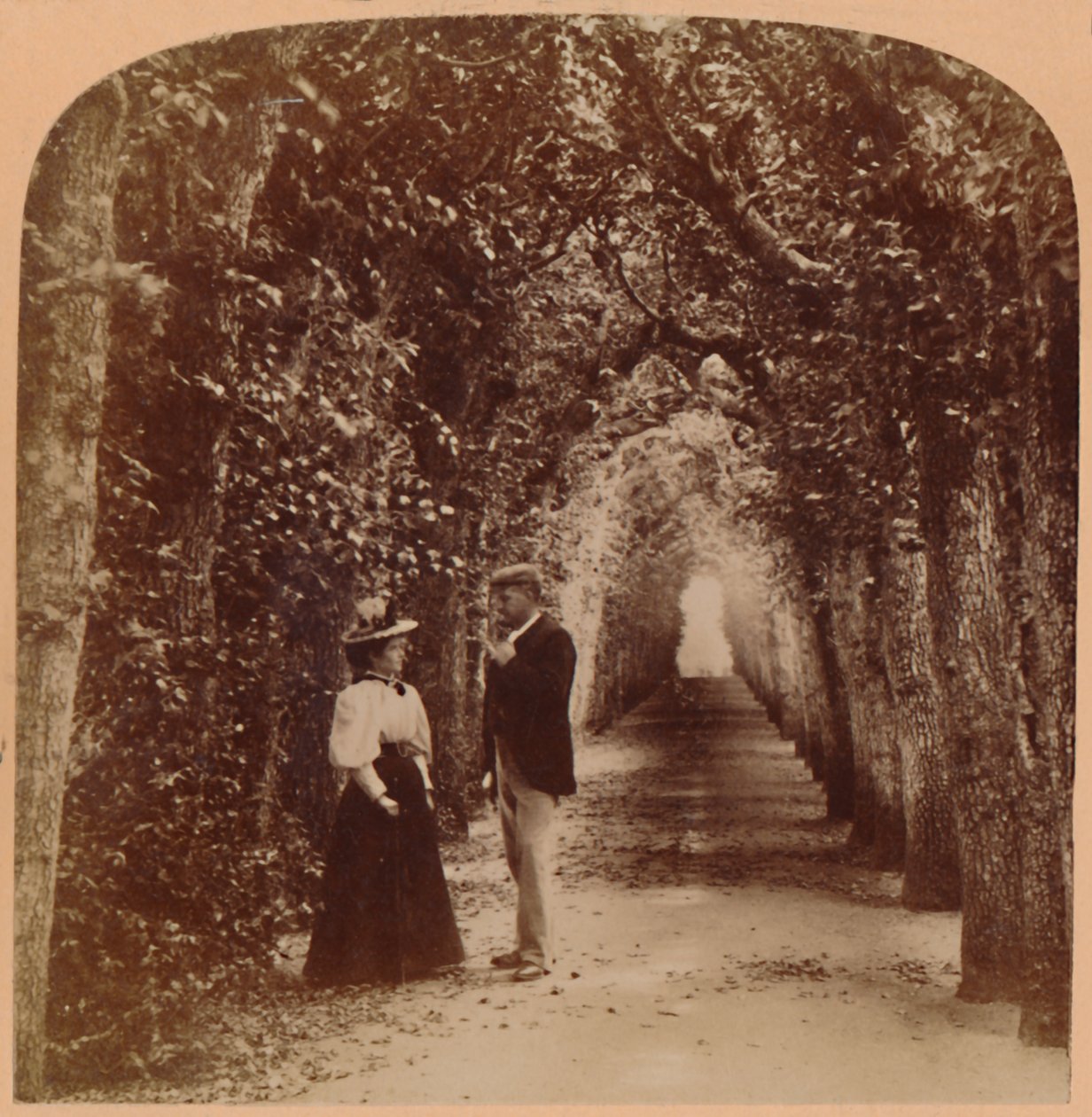 Queen Marys Bower, Hampton Court, Londra, İngiltere, 1896. by Underwood and Underwood