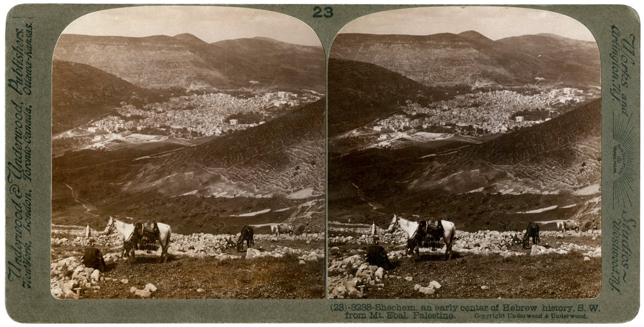Şekem, Ebal Dağı'nın güneybatısında, Filistin, 1900'ler. by Underwood and Underwood
