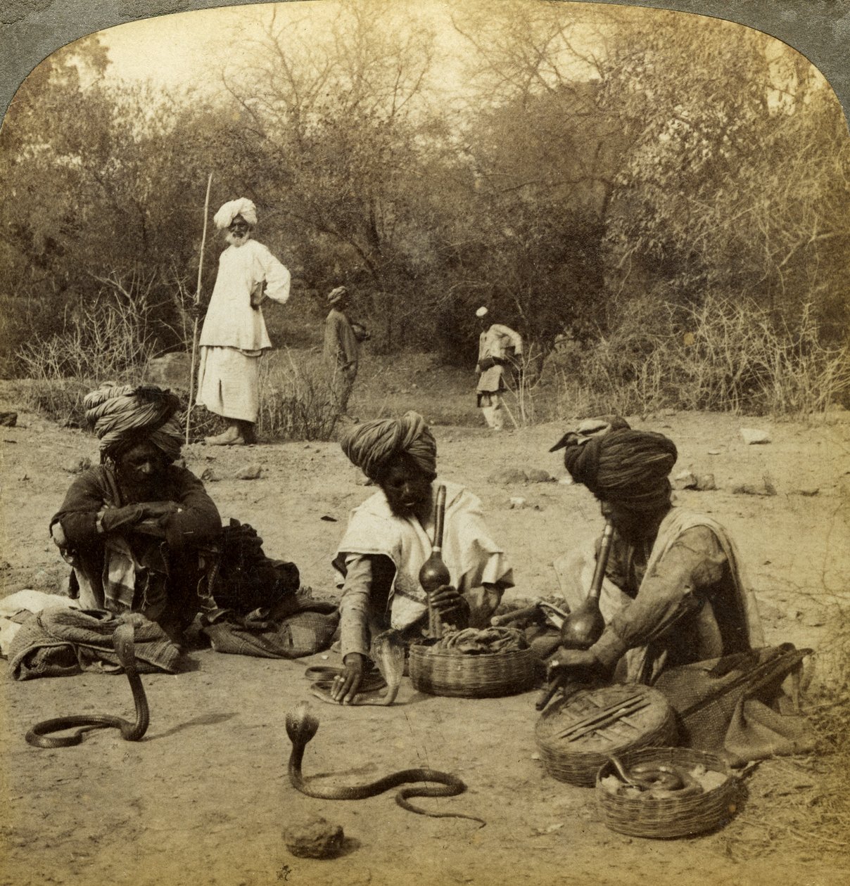 Yılan oynatıcıları, Delhi, Hindistan. by Underwood and Underwood