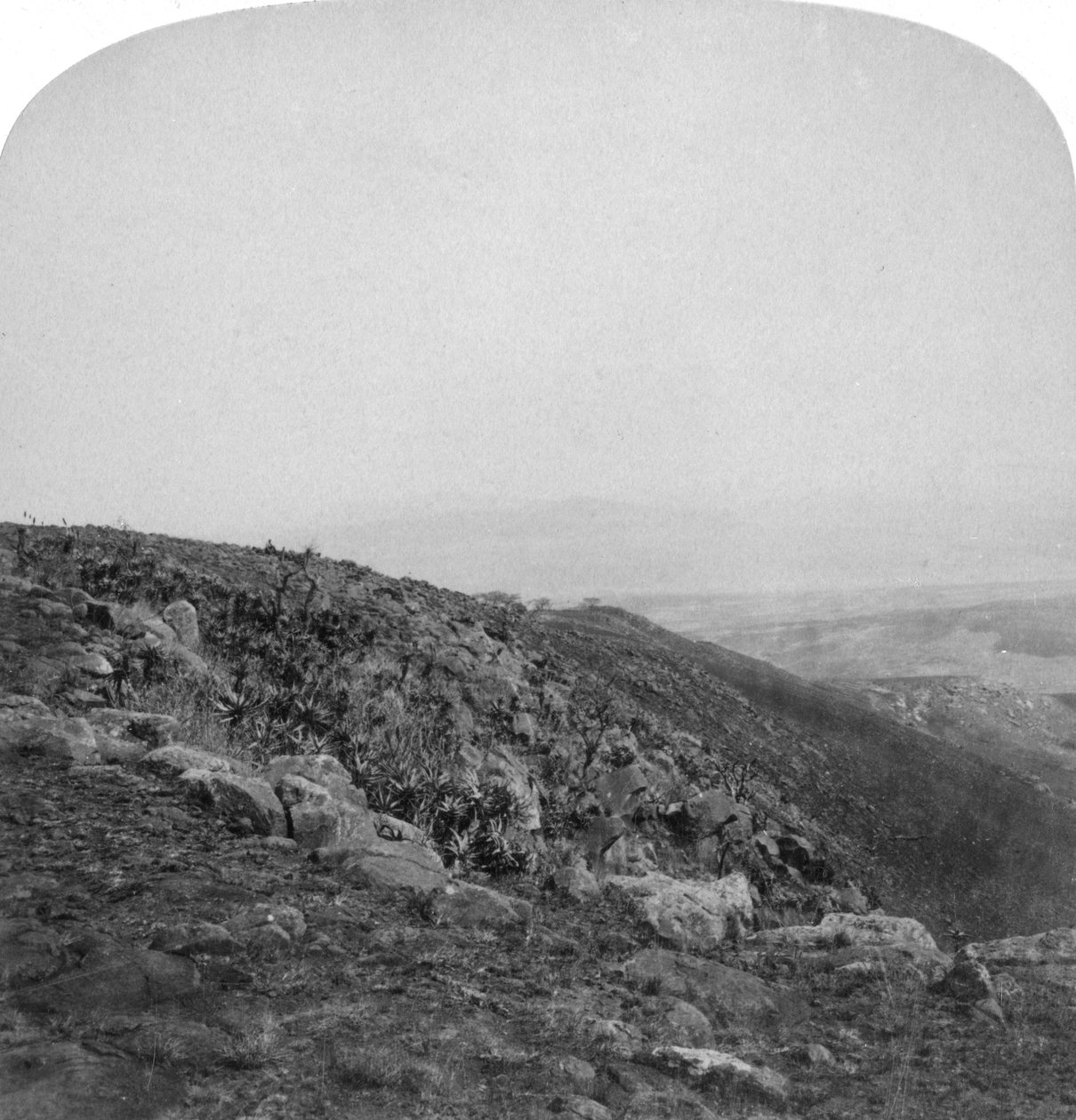 Spion Kop