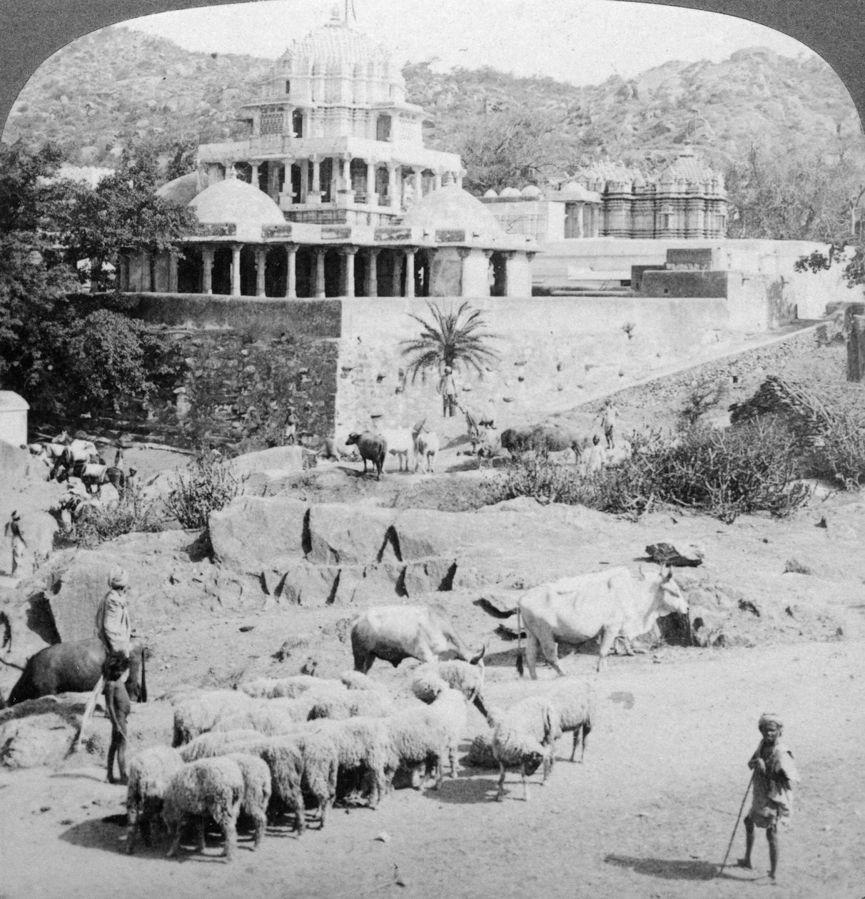 Jainlerin Tapınakları, Abu Dağı, Hindistan, 1902. by Underwood and Underwood