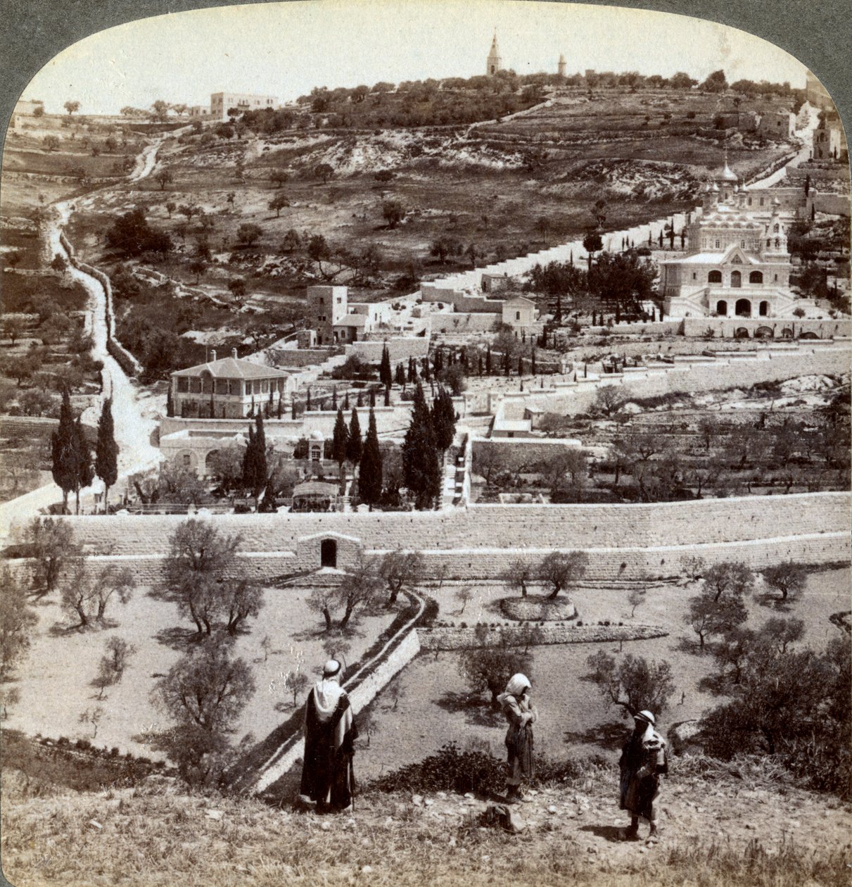 Getsemani Bahçesi ve Zeytin Dağı, Filistin, 1908. by Underwood and Underwood