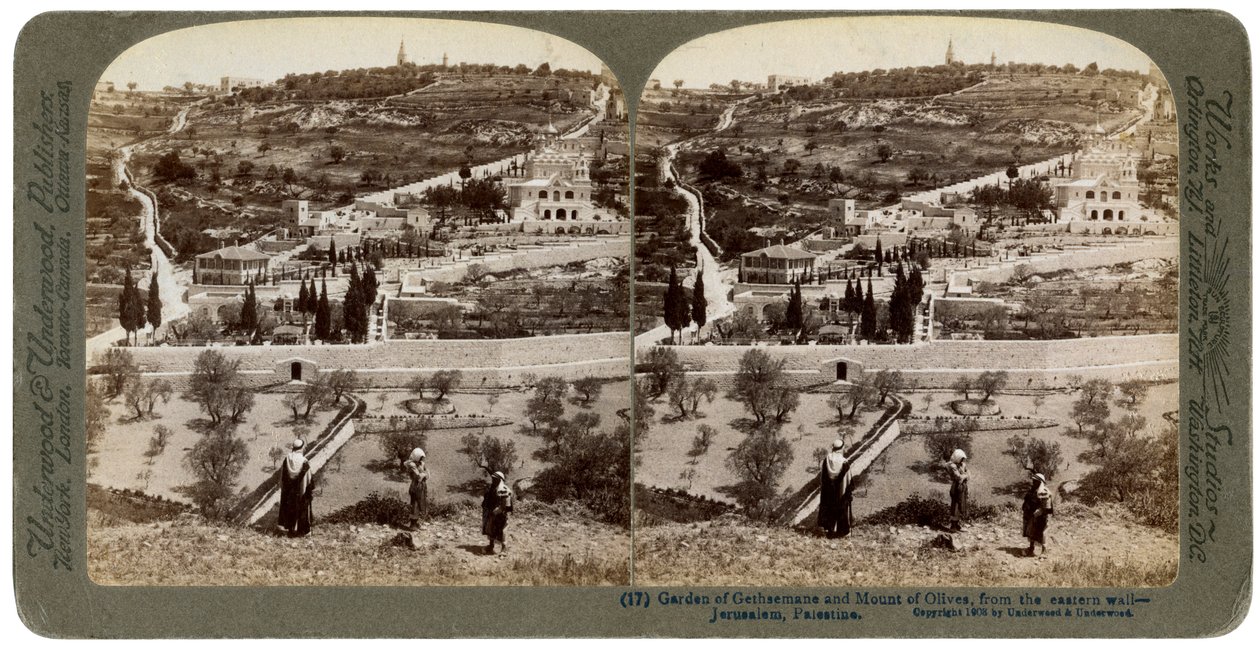 Getsemani Bahçesi ve Zeytin Dağı, Filistin, 1908. by Underwood and Underwood