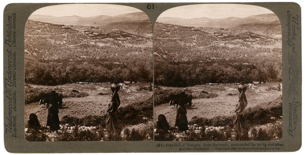Güneyden incir ve zeytinliklerle çevrili Samiriye Tepesi, Filistin, 1900. by Underwood and Underwood