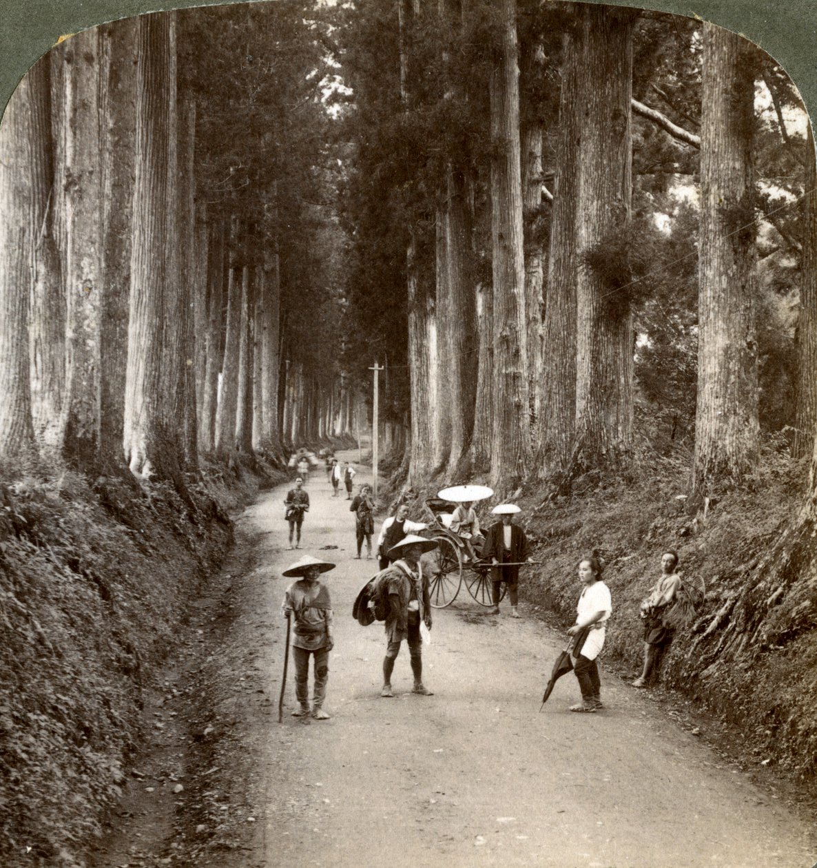 Korular, Tanrıların ilk tapınaklarıydı, Nikko, Japonya