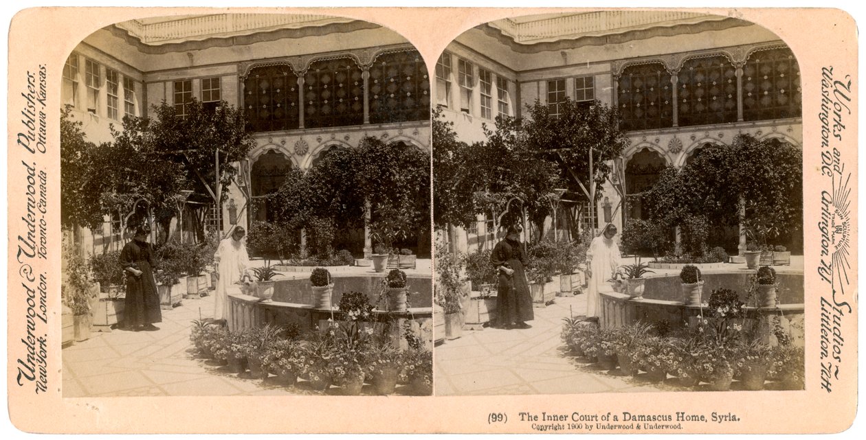 Şam