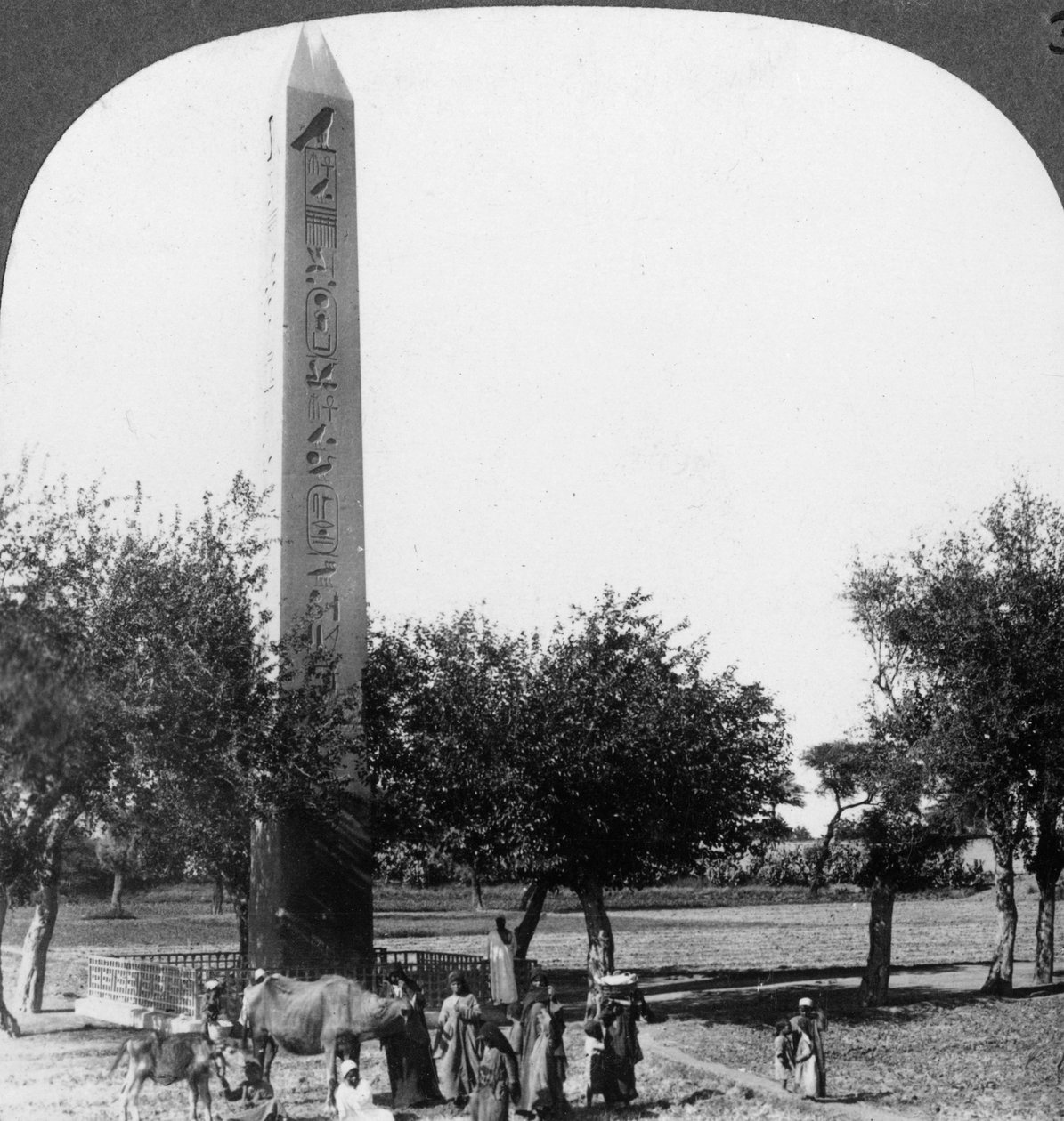 Heliopolis dikilitaşı, Mısır, 1905. by Underwood and Underwood