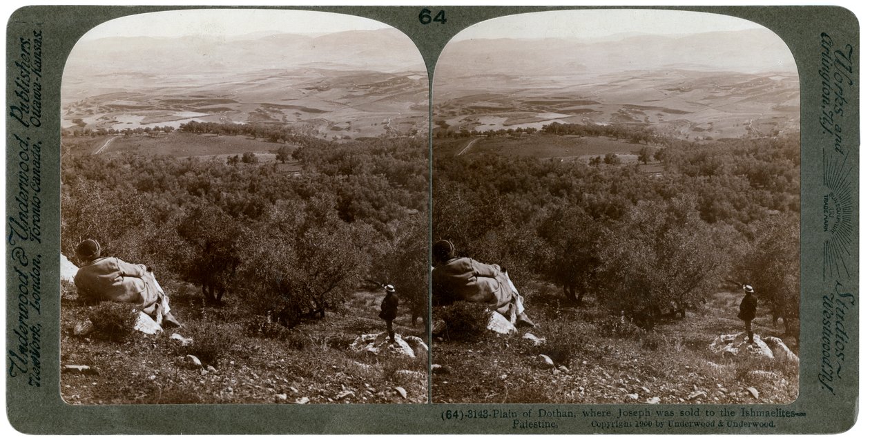 Dothan ovası, Filistin, 1900. by Underwood and Underwood