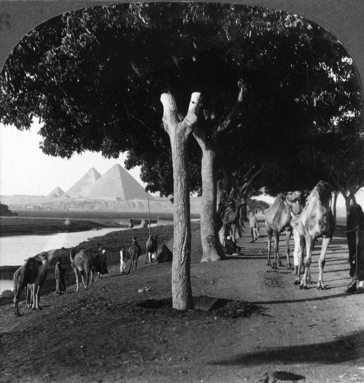 Piramitlere giden yol, Giza, Mısır, 1905. by Underwood and Underwood