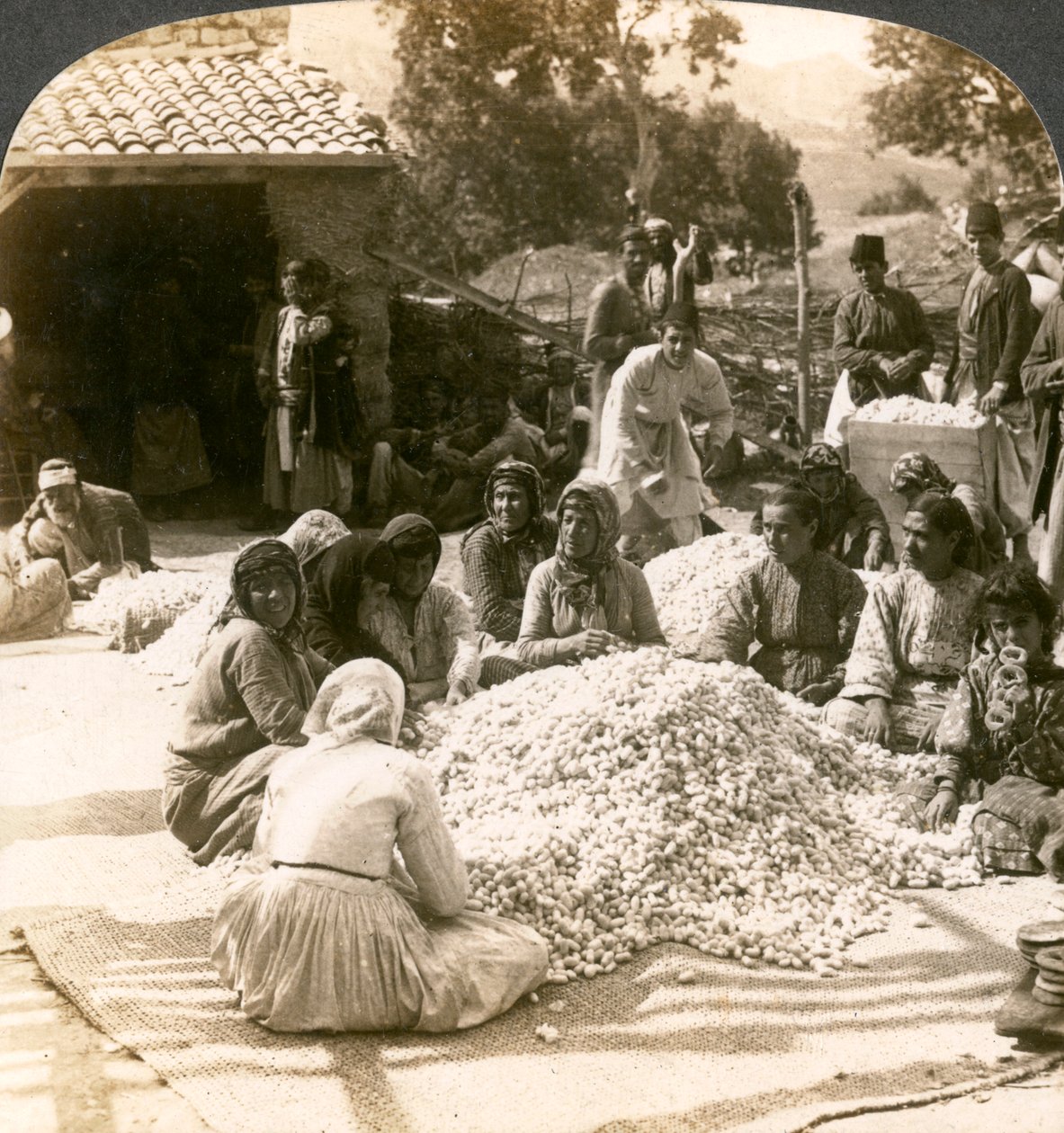 Büyük ipek koza yığınlarını ayıklayan kadınlar, Antakya, Suriye, 1900