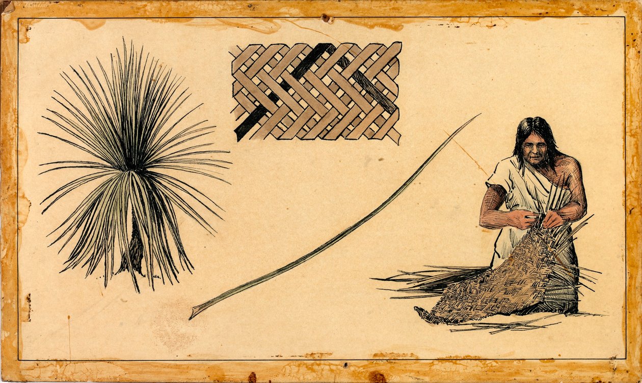 Yucca Dokuma by Unidentified