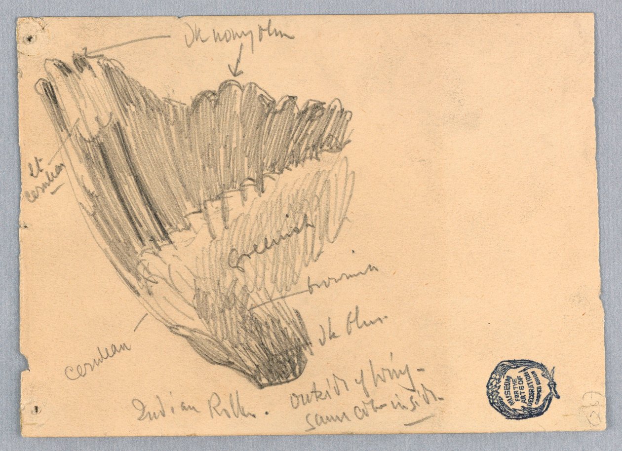 Resim çizme by Unknown