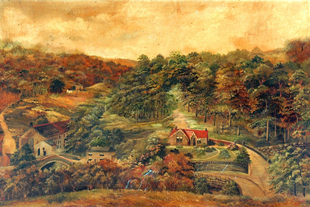 Rural Woodland