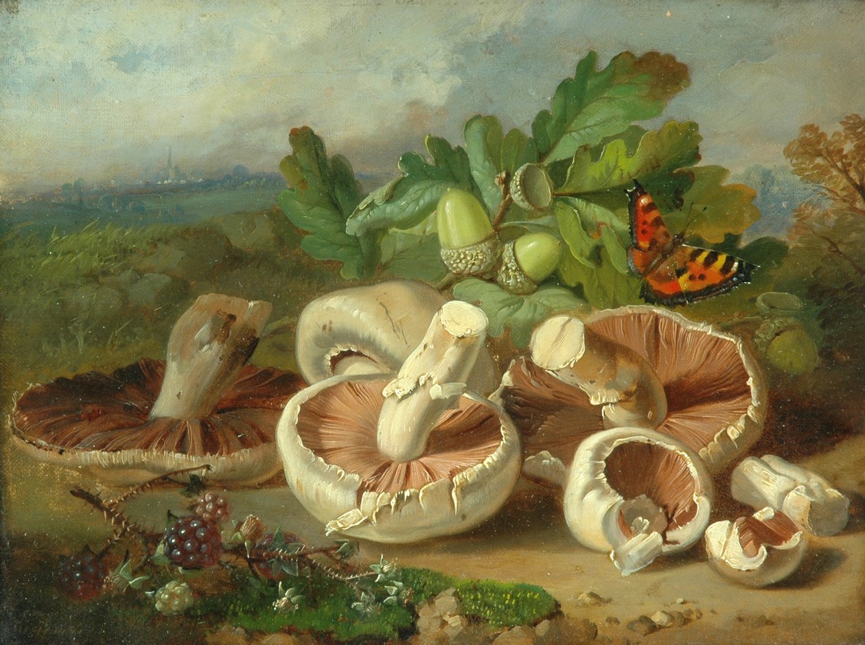 Mantarlı Natürmort, 1859 by Unknown