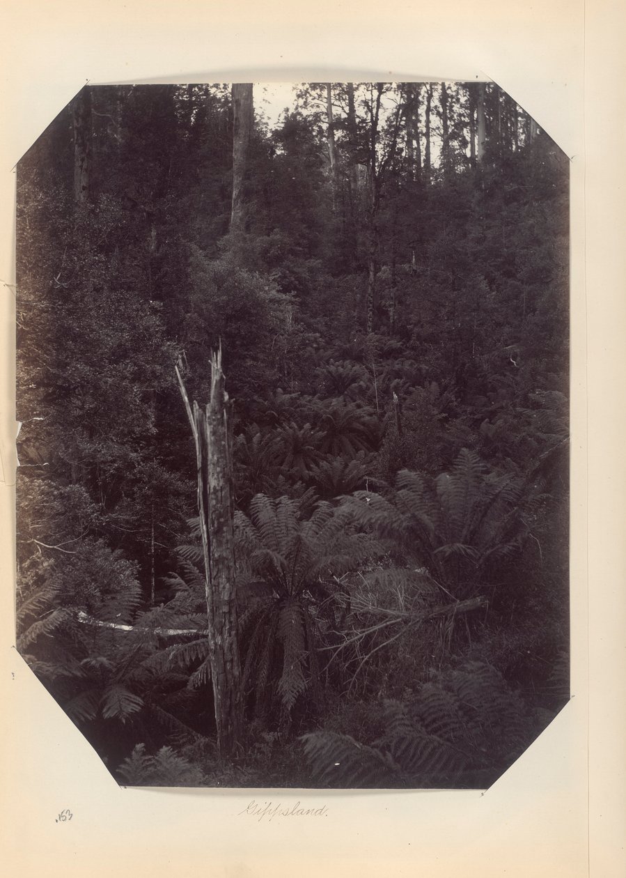 Avustralya - (Victoria ve G. Avustralya) by Unknown