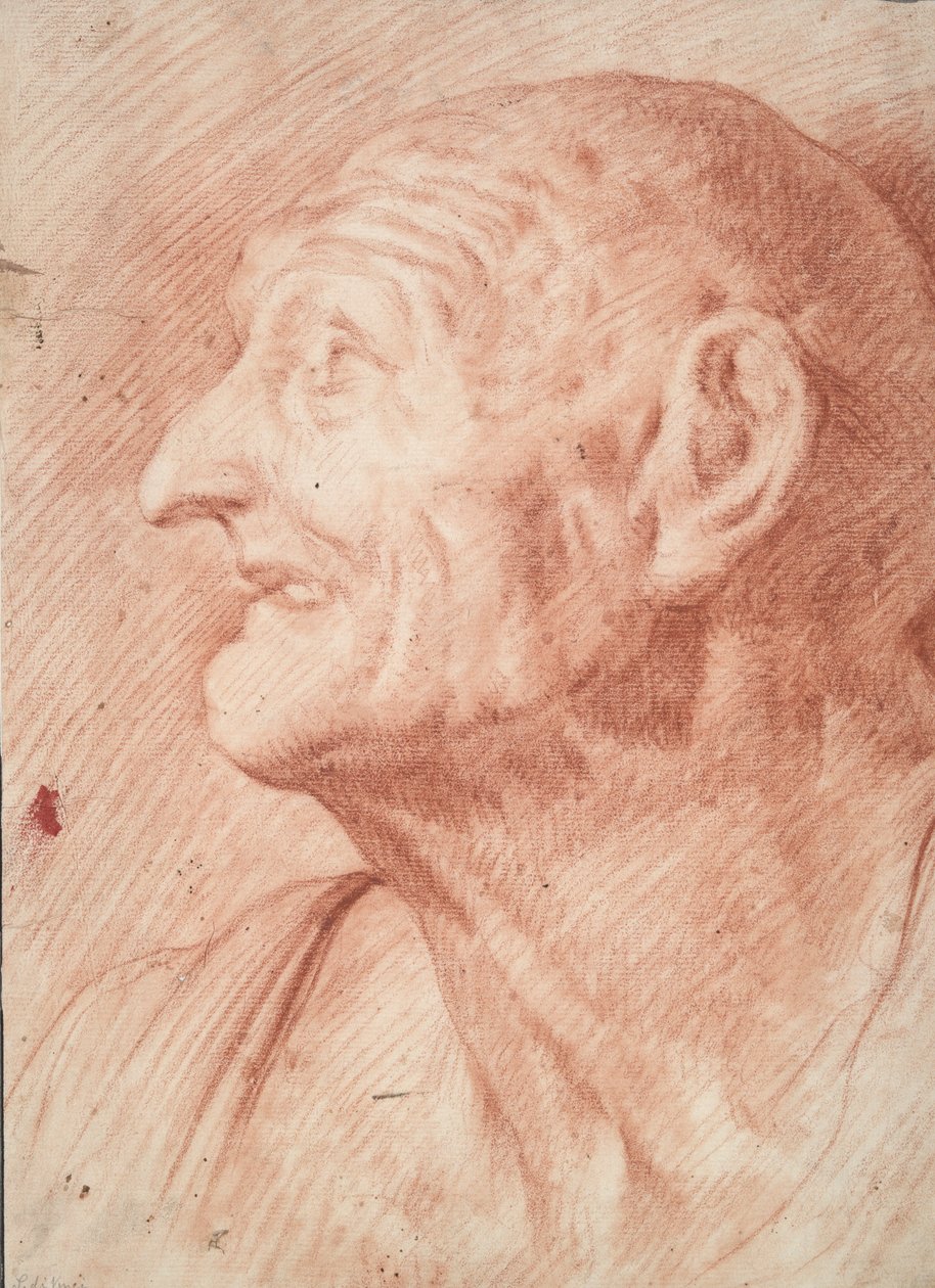 Seneca büstü by Unknown
