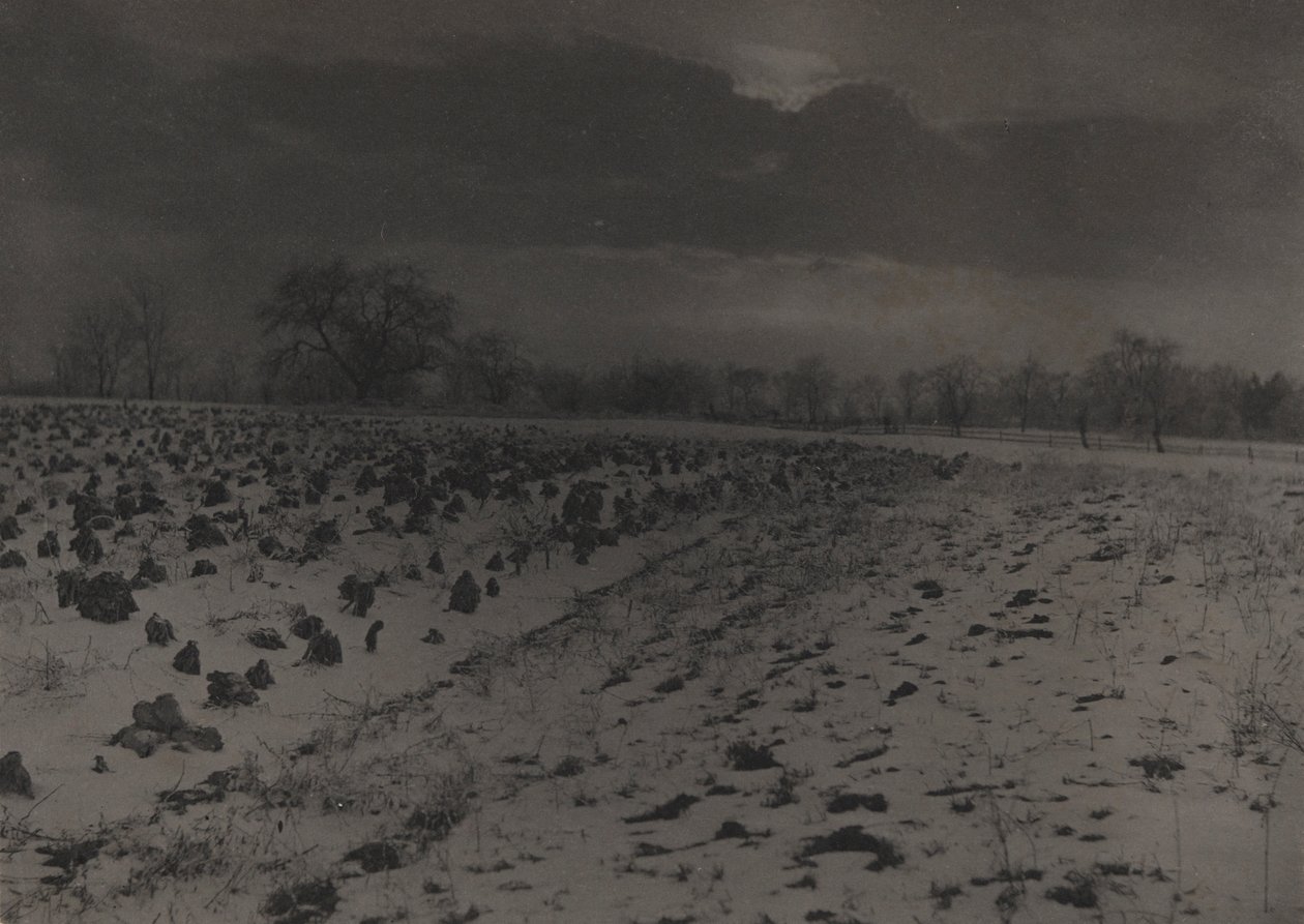 Kar Altında Lahana Tarlası by Unknown