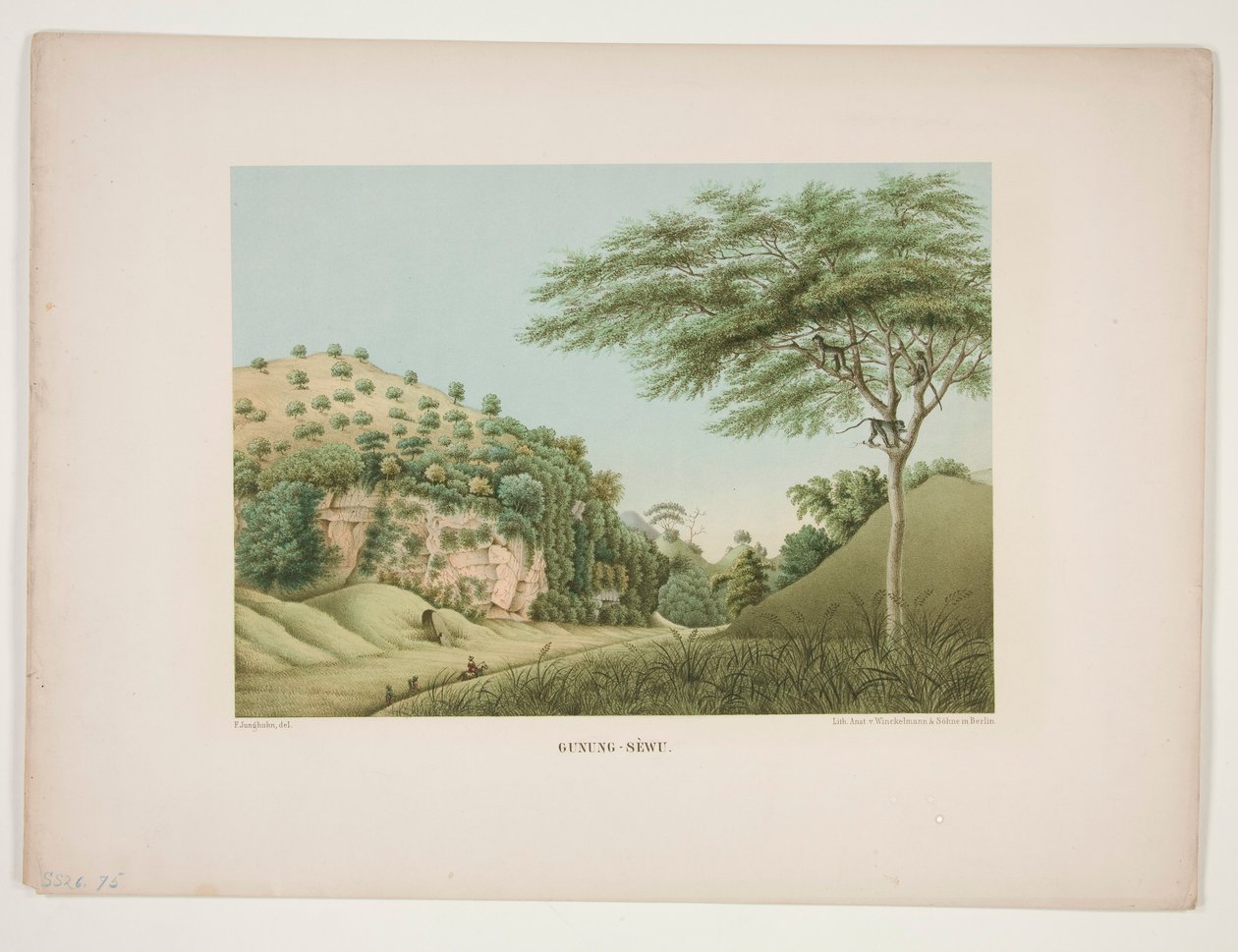 Dağ - Bin by Unknown