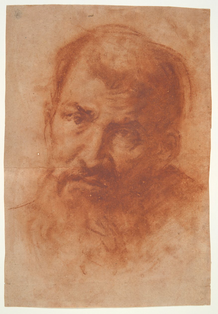 Sakallı Bir Adamın Başı by Unknown