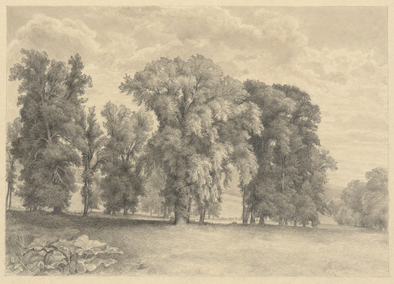 Çayır ve Ağaçlar by Unknown