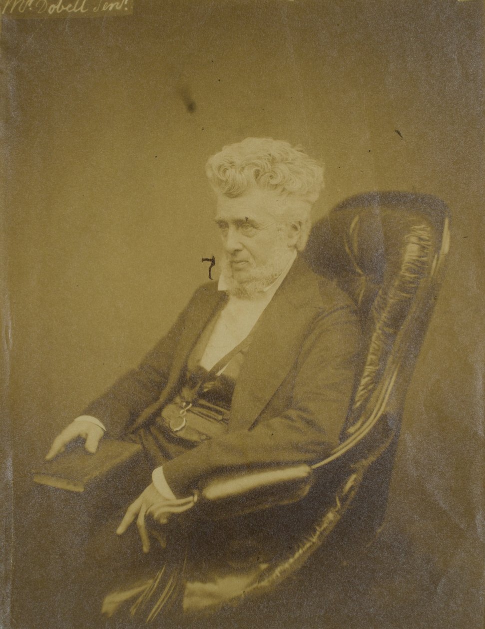 Bay Dobell by Unknown