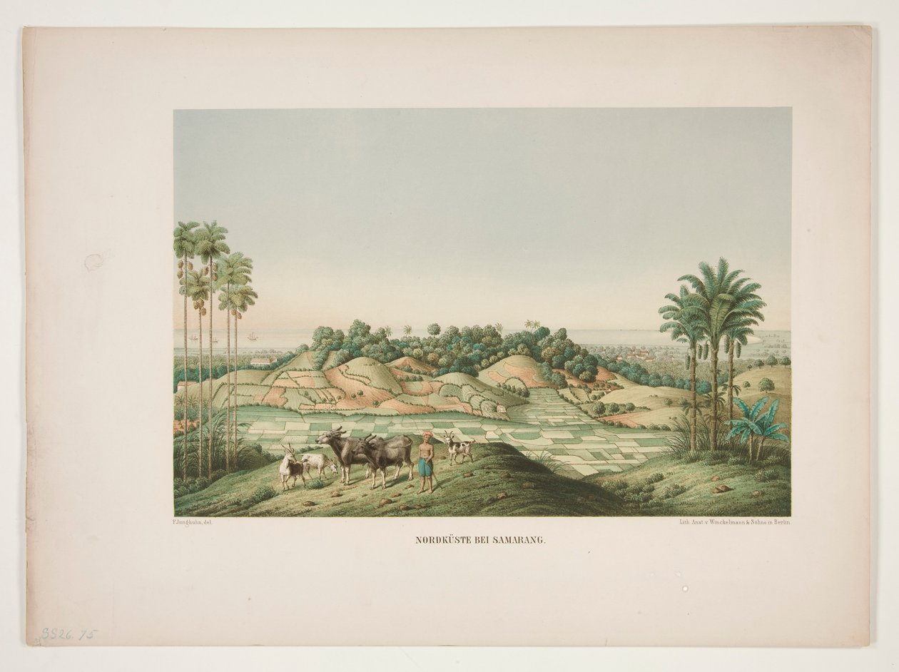 Samarang