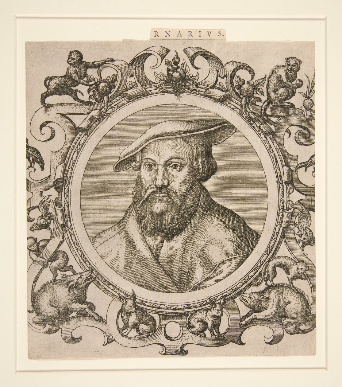Carnarius