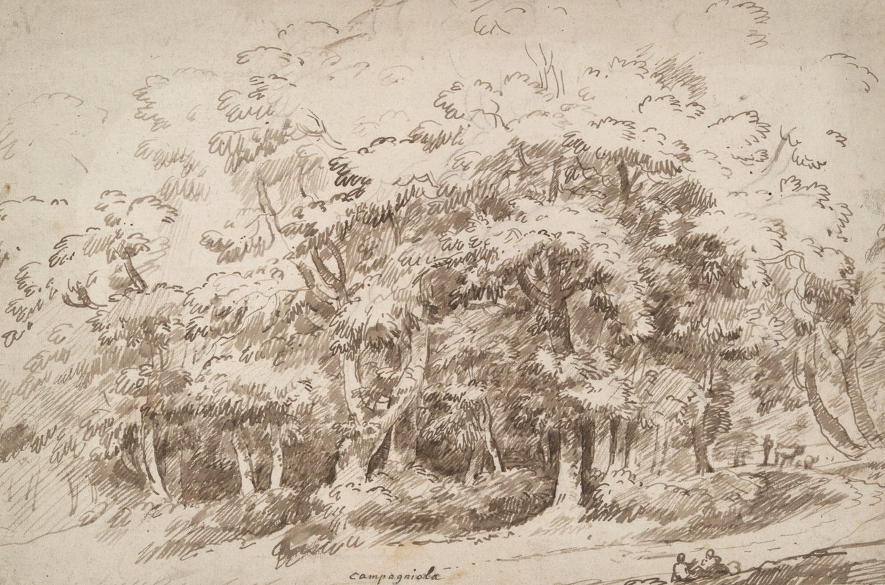 Ağaçların Çalışması by Unknown