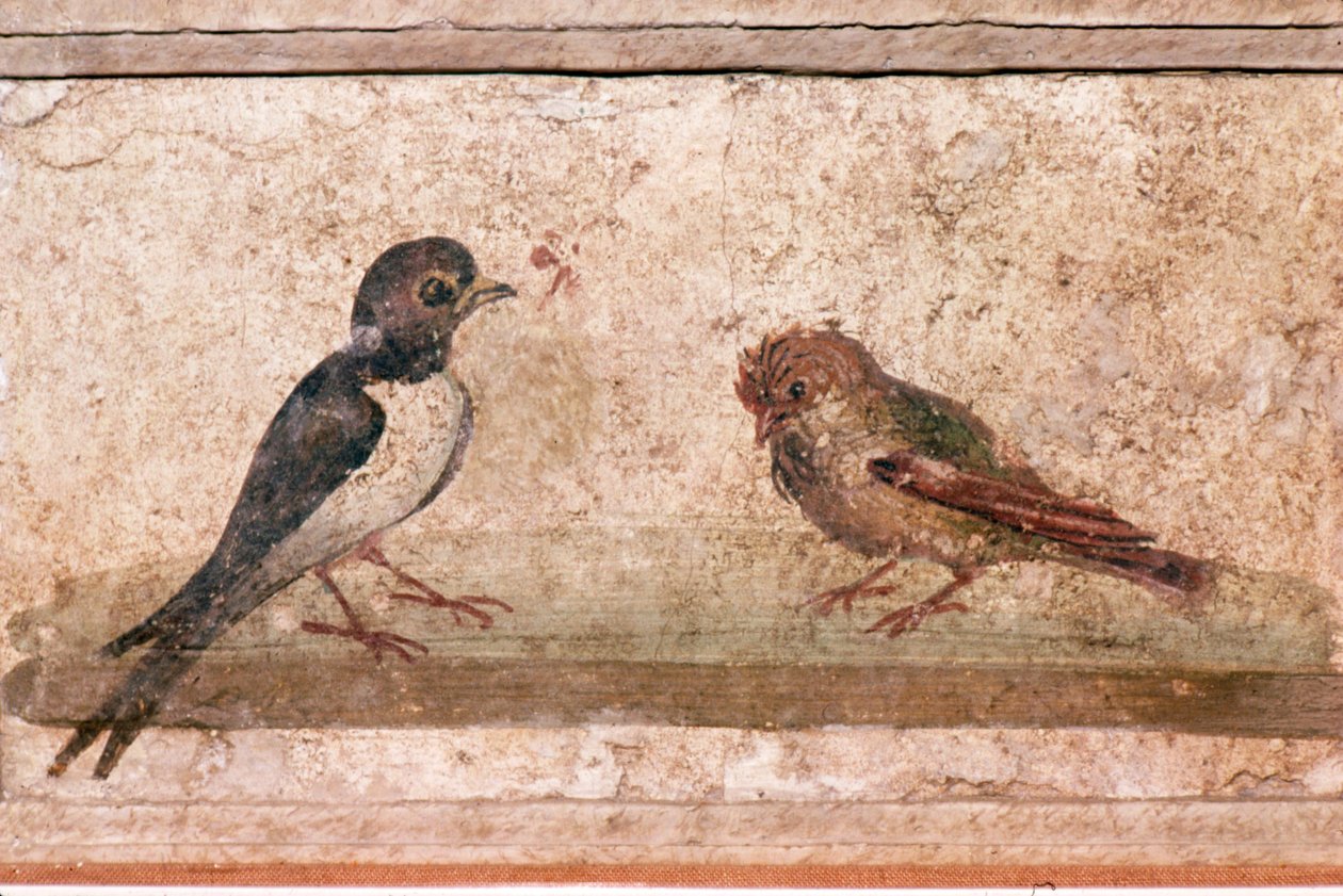 Kırlangıç ve Serçe, Pompeii yakınlarındaki Boscoreale