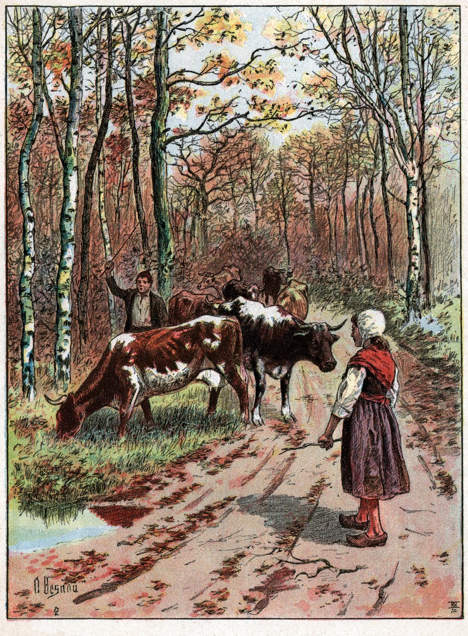 İnek sürüsü. İnek sürüsü. by Unknown