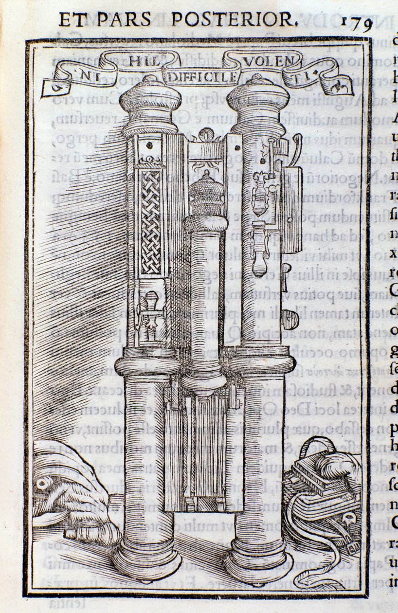 Bir Fagotus (Phagotus). Theseus Ambrosius Albonesius