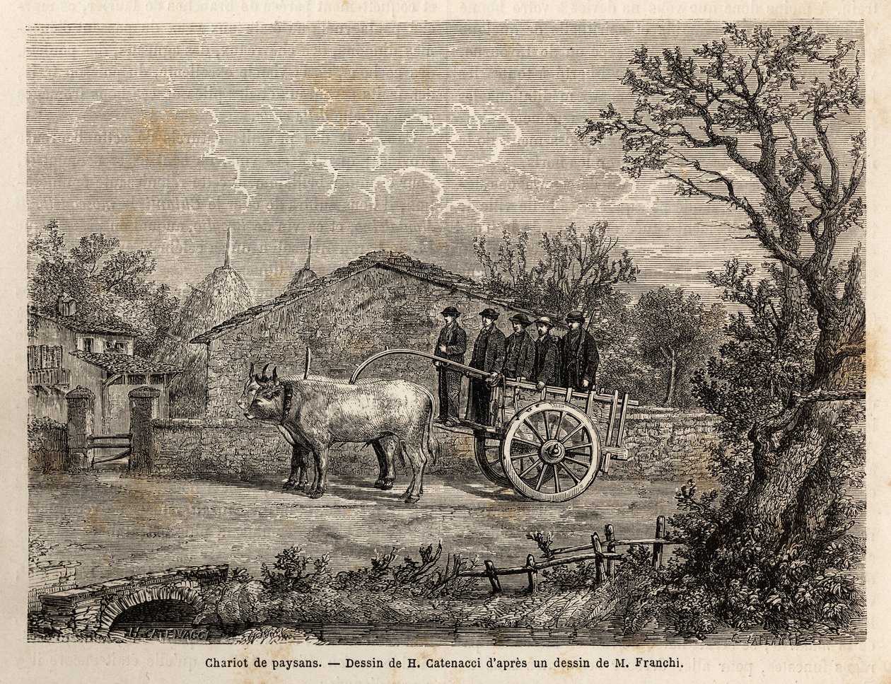 Bir Sienese köylü arabası, şarap fıçılarını taşımak için birkaç küçük beyaz öküz tarafından çekilen iki tekerleğe sahiptir. 1865