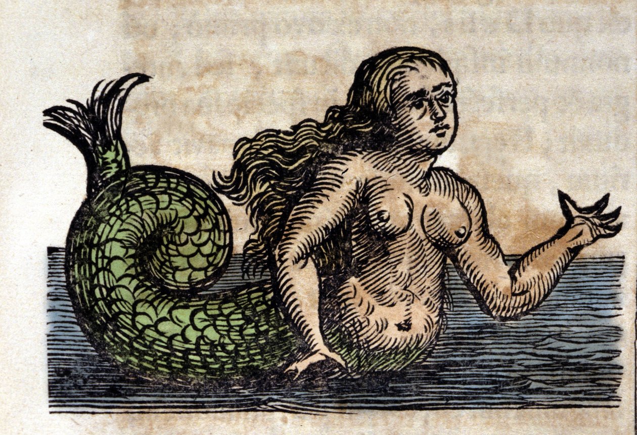 Bir Sirene, Efsanevi Kişi - Athanasius Kircher (1601 - 1680), Jesuite, Oryantalist ve Alman bilgin tarafından yapılan bir gravür by Unknown artist