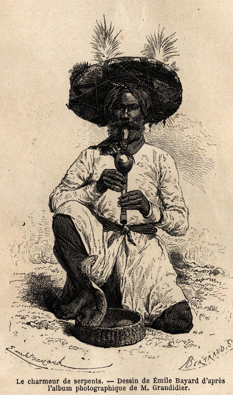 Fakir, yılan oynatıcısı. D